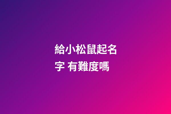 給小松鼠起名字 有難度嗎